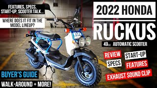 2022 Honda Ruckus 49cc Scooter Review of Specs Changes Features  Walkaround  NPS 50 [upl. by Mcgurn]