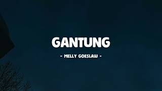 Melly Goeslaw  Gantung I Lirik Lagu [upl. by Nadual216]