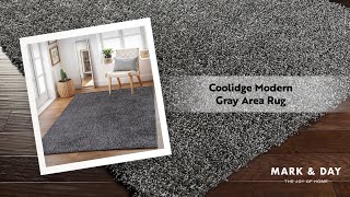 Coolidge Modern Gray Area Rug [upl. by Ryhpez158]