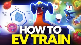 How to EV Train in Pokemon Brilliant Diamond and Shining Pearl  EV Training Guide [upl. by Spillar9]