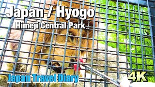 4K Travel Diary to quotHimeji Central Parkquot in Hyogo  Japan📘 [upl. by Ahsahtan]