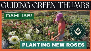 PLANTING ROSE BUSHES  FULL BLOOM DAHLIA GARDEN TOUR [upl. by Wales605]