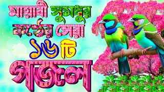 মায়াবী সুমধুর কন্ঠের ১৬টি গজল মন উজার করা গজল Selected Gajal Islamic New Gojol New Bangla Gojol [upl. by Elocal960]