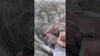 Der starke Milan zeichnen kunst art drawing vogel raptor [upl. by O'Conner]