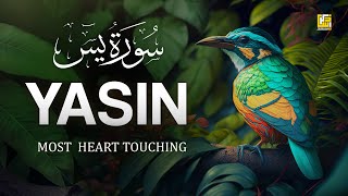 Worlds most beautiful Quran recitation of Surah Yasin Yaseen سورة يس  Zikrullah TV [upl. by Adrianne989]