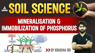 Mineralization amp Immobilization of Phosphorus  Soil Science  Short Concepts  By Krashna Sir [upl. by Alleinnad]