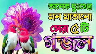 Bangla Gazal মায়াবী কন্ঠের মন মাতানো ৪টি সেরা গজল কলিজা শীতল করা ৪টি গজল Asadul Gojol TV [upl. by Danit150]