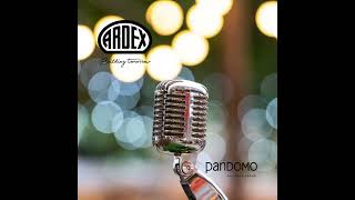 🎶 Ardex amp Pandomo Song [upl. by Uos]