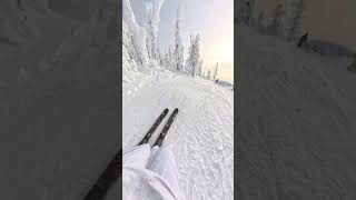 Literally the Best Ski POV ANGLE [upl. by Yttel]