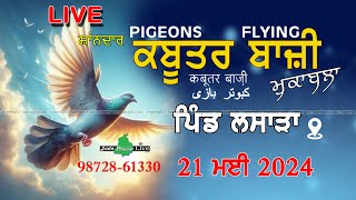 🔴 LIVE PART2 ਕਬੂਤਰਬਾਜ਼ੀ🔴VILL LASARA 🔴 ਸਾਂਝਾ ਪੀਜ਼ਨ ਕਲੱਬ 21 may 2024 کبوتر کا کھیل [upl. by Auot143]