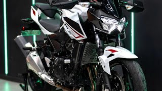 Kawasaki Z400 Review The Ultimate Beginners Motorcycle [upl. by Aziaf562]