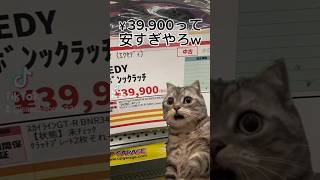 某中古部品店で4万円無駄にしそうになった【前編】猫ミーム [upl. by Zoes]