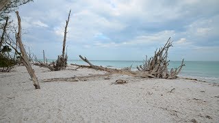 Beer Can Island Florida [upl. by Lamarre]