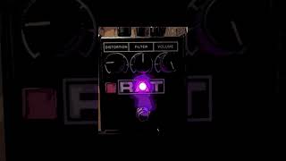 Proco Rat 2 mod LM308 [upl. by Aloek676]