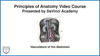 Vasculature of the Abdomen Abdominal Anatomy 1 of 9 [upl. by Raymond]