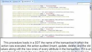 Work With Plus Tutorial  Audit Transaction [upl. by Leirej]