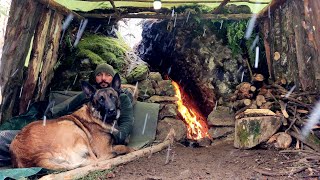 3 Days Winter Camp in the Wilderness with My Dog  Bushcraft Shelter Camping Nature Documentary [upl. by Casie505]