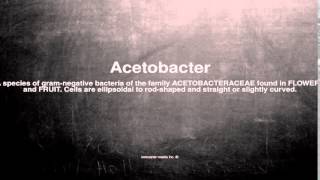 Medical vocabulary What does Acetobacter mean [upl. by Wane]