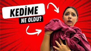 KEDİM PİRELENDİ YIKADIM OYUNCAX TV MELİKE [upl. by Gianna]