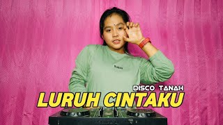 LURUH CINTAKU DISCO TANAH REMIX RTB PARTY [upl. by Phox607]