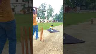 😂New😂Cricket😂Funny😂Video😂😂😂😂😂 [upl. by Dranyl]