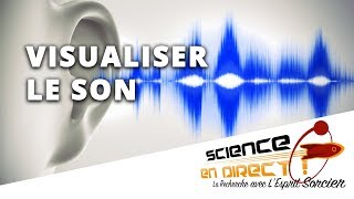 Visualiser les ondes sonores  Science En Direct [upl. by Ardnwahsal828]