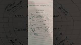 Bronfenbrenners Ecological Theory ctet ctetexam ctet2024 shorts youtubeshortsyoutubeshorts [upl. by Namar]