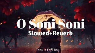 Lofi Boy Tanvir Slowed Reverb song O Soni Soni song Romantic Song Lofi song [upl. by Anol206]