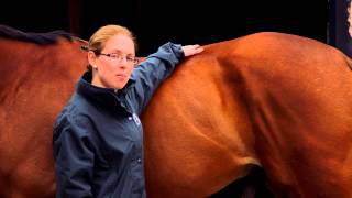 How To Body Condition Score Your Horse  Loin [upl. by Shawna]