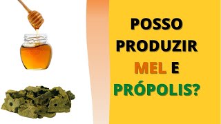 POSSO PRODUZIR MEL E PRÓPOLIS [upl. by Dunson]