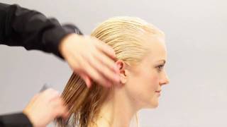 Aveda HowTo  Everyday Body amp Increased Volume for Fine Hair [upl. by Anelegna]