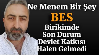 Ne Menem Bir Şey BES 2 Ay Birikimde Son Durum [upl. by Naenej252]