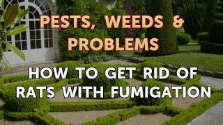 How to Get Rid of Rats With Fumigation [upl. by Iver]