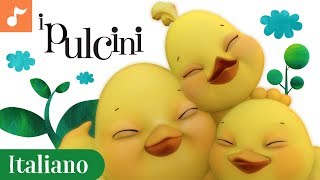 Pulcini  Italian Childrens Nursery Songs Italiano  Canticos [upl. by Avelin]