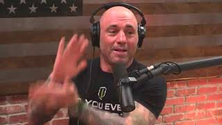 Joe Rogan on Holly Holm vs Cyborg [upl. by Aramahs]