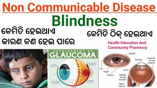 ଅନ୍ଧାରକଣା  BLINDNESS  NON COMMUNICABLE DISEASE  CAUSES OF BLINDNESS  Find Your Job hecp [upl. by Anaz237]