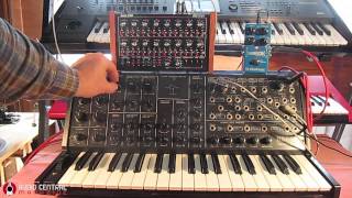 KORG MS20 amp Doepfer Dark Time Sequencer [upl. by Abisia]