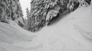 Powder  Arizona Snowbowl February 7 2024 [upl. by Darrelle557]