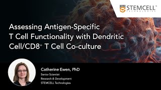 Assessing AntigenSpecific TCell Functionality with Dendritic CellCD8⁺ T Cell Coculture [upl. by Ennadroj]