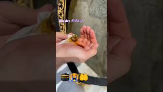 😭😰🕋🤲 Makka Al Mukarramaمکةالمکرمةshorts trending shortsfeed naat hajj [upl. by Anissa546]