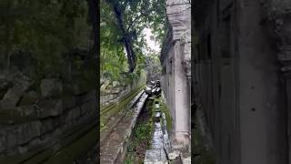 Beng Mealea Temple Siem Reap shortvideo bengmealea travelcambodia [upl. by Socem]