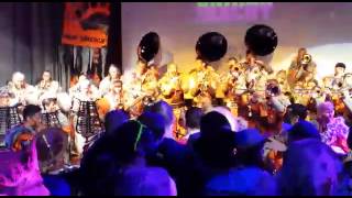 Video SemphonikerFasNacht 2014 [upl. by Llennor]