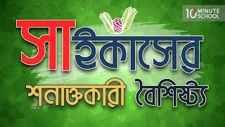 ০৭২৩ অধ্যায় ৭  সাইকাসের জনন প্রক্রিয়া  অযৌন জনন [upl. by Ivory453]