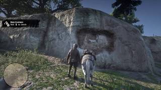 Red Dead Redemption 2  Rock Carving 7 Location  Rock Carving Coordinates 7 [upl. by Otti]