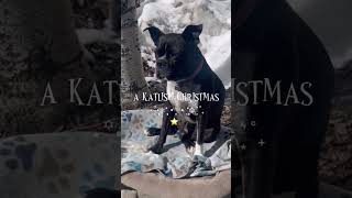 WindyGirk Mery christmas coming soon⭐️🎄💕‼️ WindyGirk katlispi youtubeshorts WindyGirkTV [upl. by Pietje268]