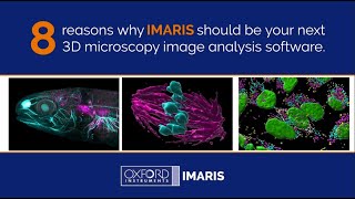 Oxford Instruments  8 Reasons why IMARIS should be your next Image Analysis Software [upl. by Ecnerual]