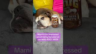 Our root beer is just as sweet as our Marni ❤️ in store  Durrington Wilts MugRootBeerOfficial [upl. by Azne]