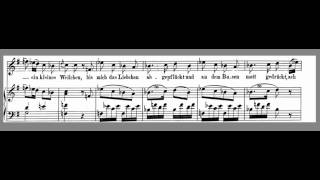 Das Veilchen  Mozart  High Key G  Accompaniment [upl. by Aryc]