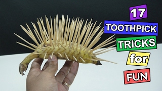 17 Easy Toothpick Tricks  How to use toothpick for fun [upl. by Alac]