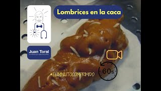 Lombrices en la caca  ⏱️💊 𝔼𝕝 𝕄𝕚𝕟𝕦𝕥𝕠 ℂ𝕠𝕞𝕡𝕣𝕚𝕞𝕚𝕕𝕠 17 ⏱️💊 [upl. by Acilegna]